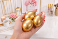 3 Golden Eggs Bundle (Best Seller)